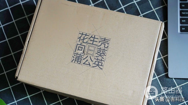 工业路由器很牛么？蒲公英R300A体验，4G、组网都牛