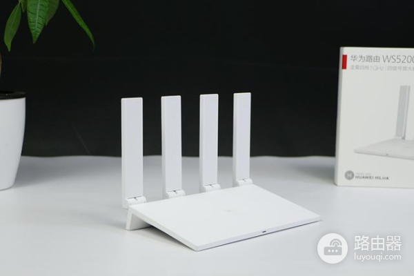 路由器怎么开启dhcp
