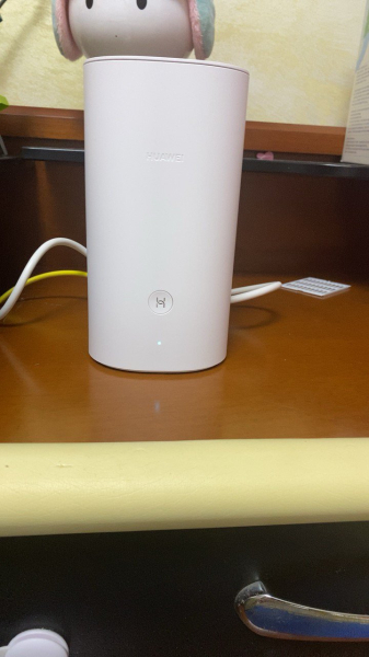 有线mesh路由器的lan口还能接电脑吗