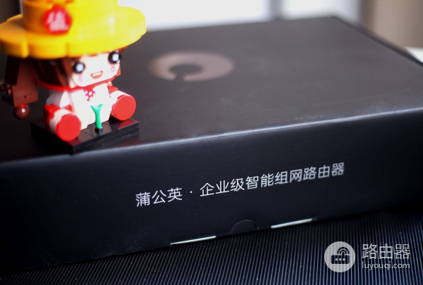 蒲公英企业级智能组网路由器X6测评，四堵墙十几米还信号满格